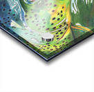 Hooked V  Acrylic print