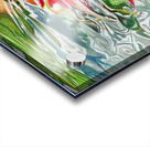 Colorado River Cutthroat Acrylic print