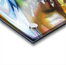 Emerger Acrylic print