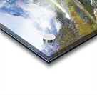 Mountain Vista Acrylic print