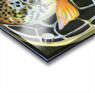 In The Net II Acrylic print