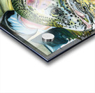 On The Rocks Acrylic print