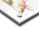 Red Tail Catfish II Acrylic print