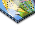 Reel Reflection Acrylic print