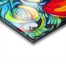 Papaguy Acrylic print