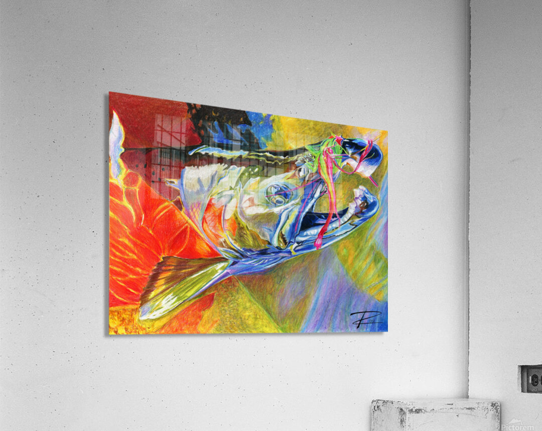 Alaskan Coho Acrylic Print