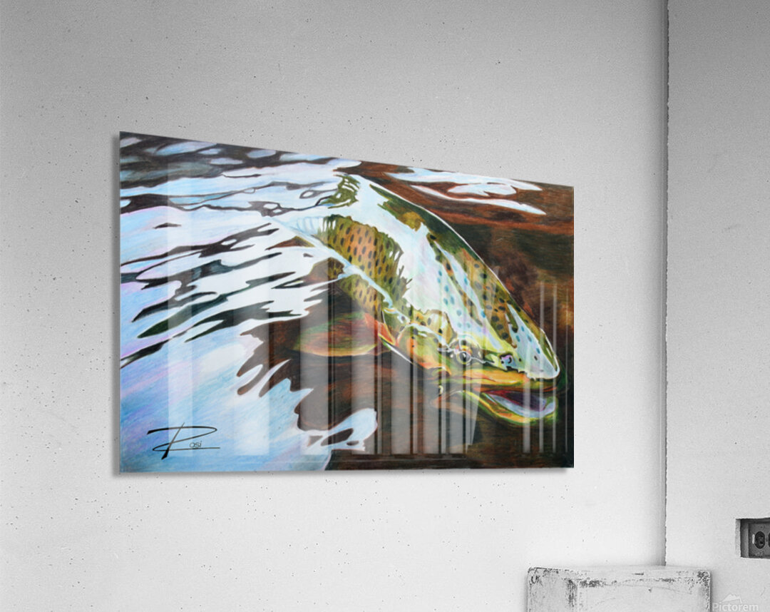 Trout Release Acrylic Print