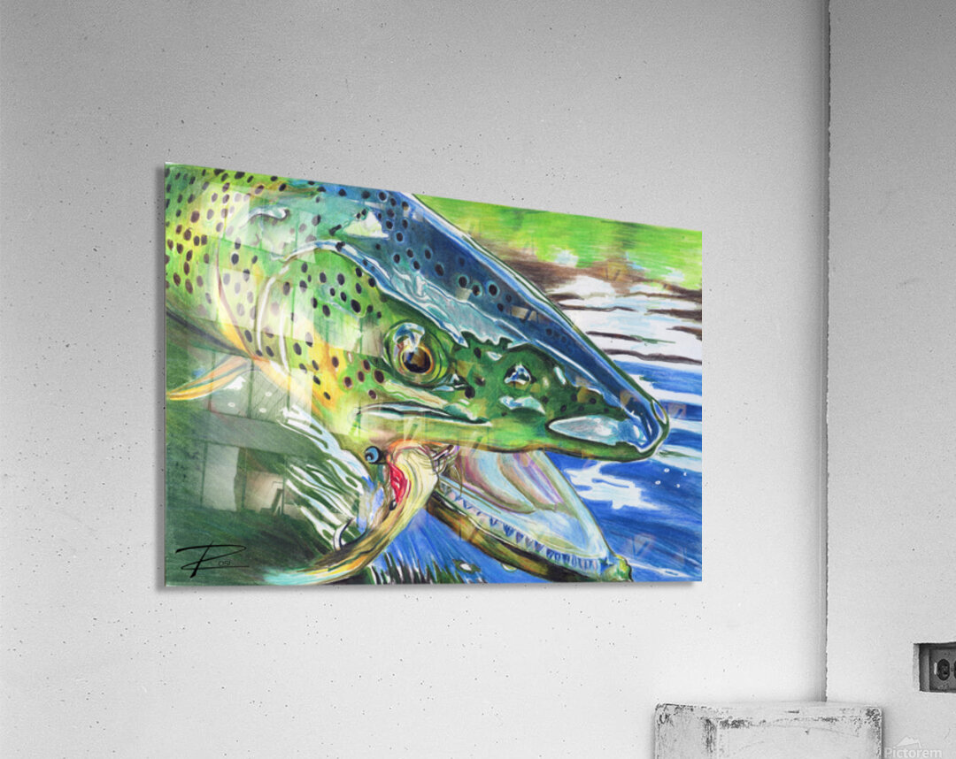 Hooked V  Acrylic Print