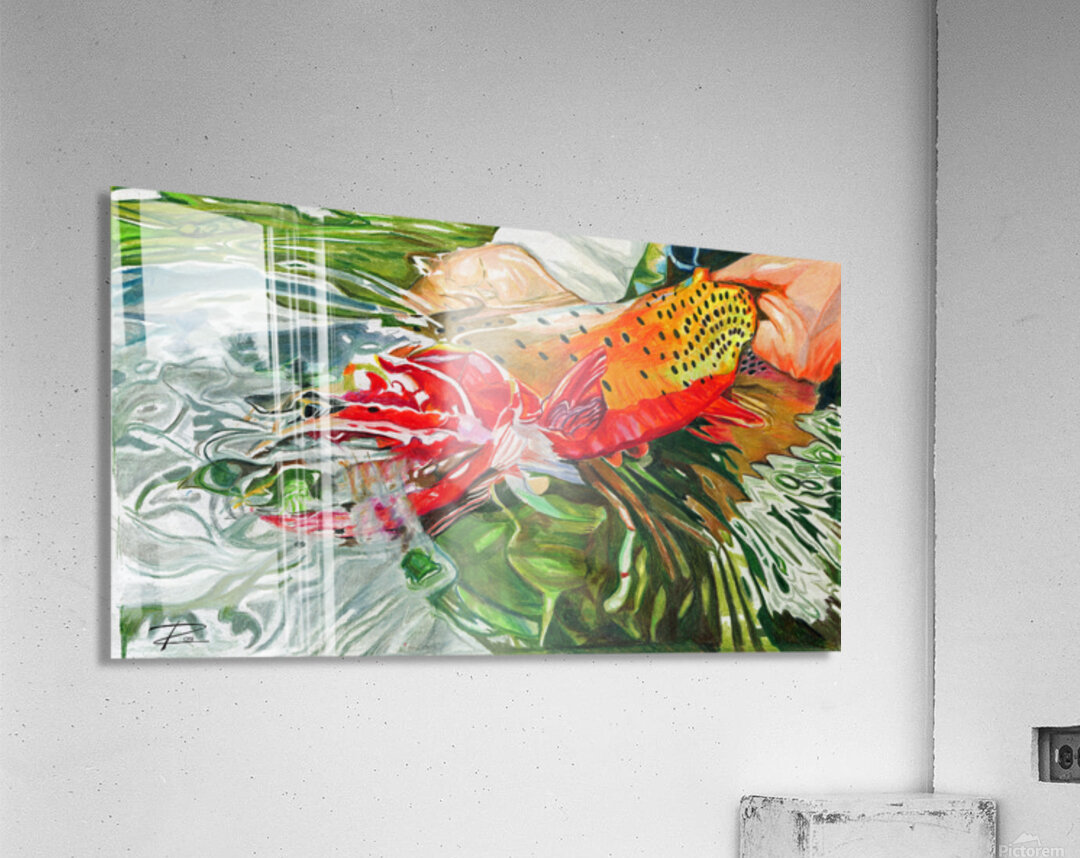 Colorado River Cutthroat Acrylic Print