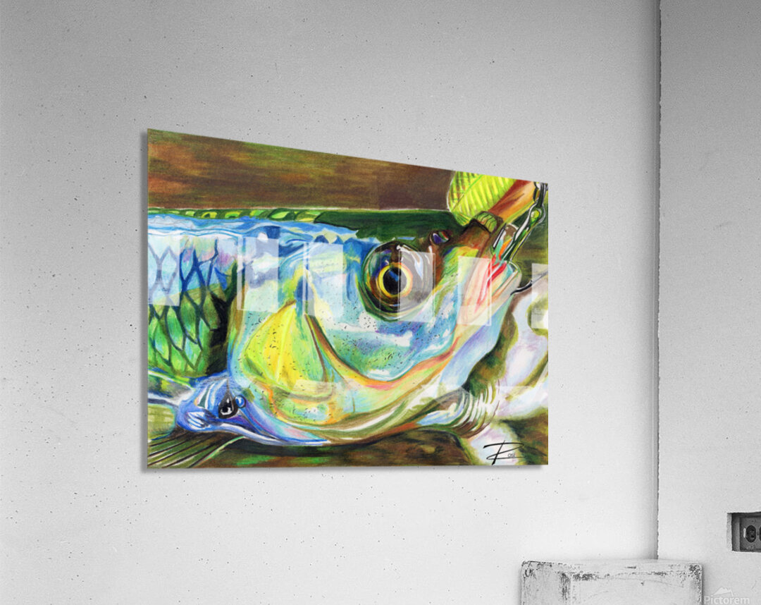 On The Hook II Acrylic Print