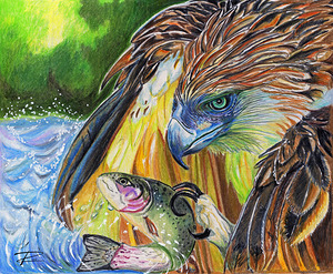 Under The Eagles Wings