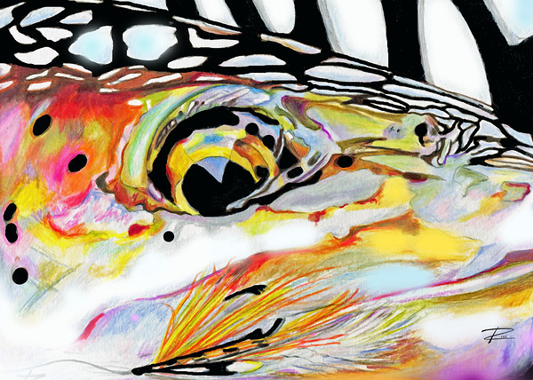 Steelhead with Streamer Print