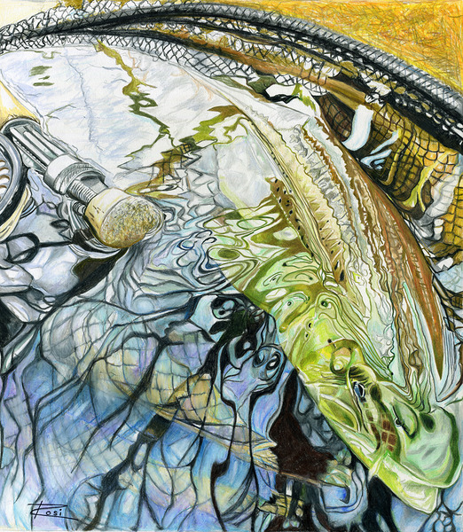 Lake Run Brownie Print