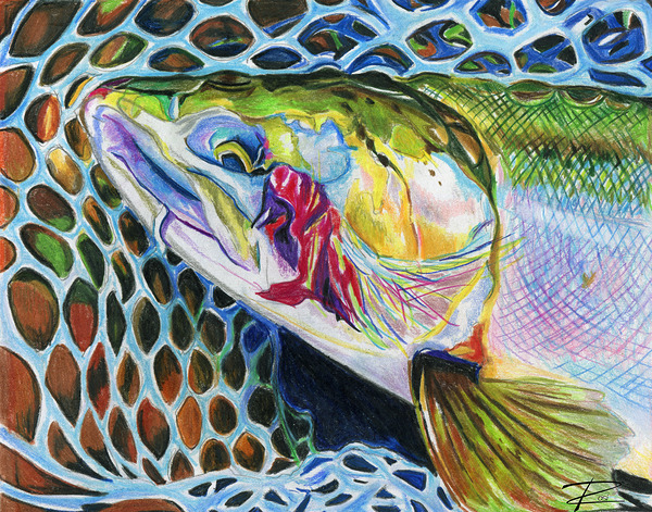Dolly Varden III Print