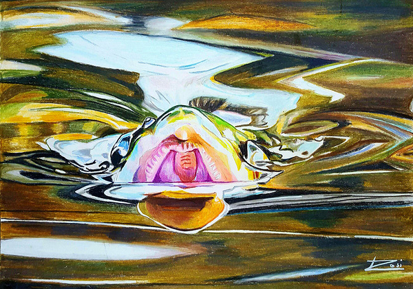 Looking for Flies Print