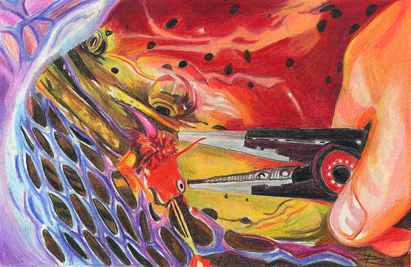 King Salmon in Net Print