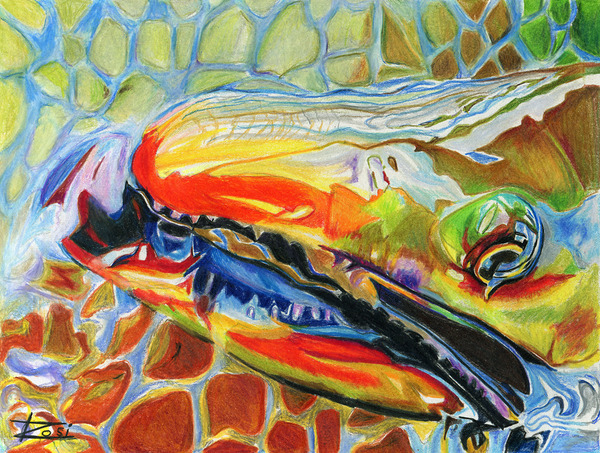 Dolly Varden II Print