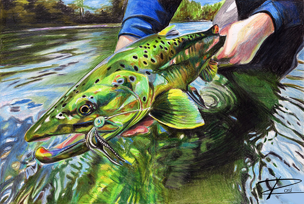 Brownie Release Print