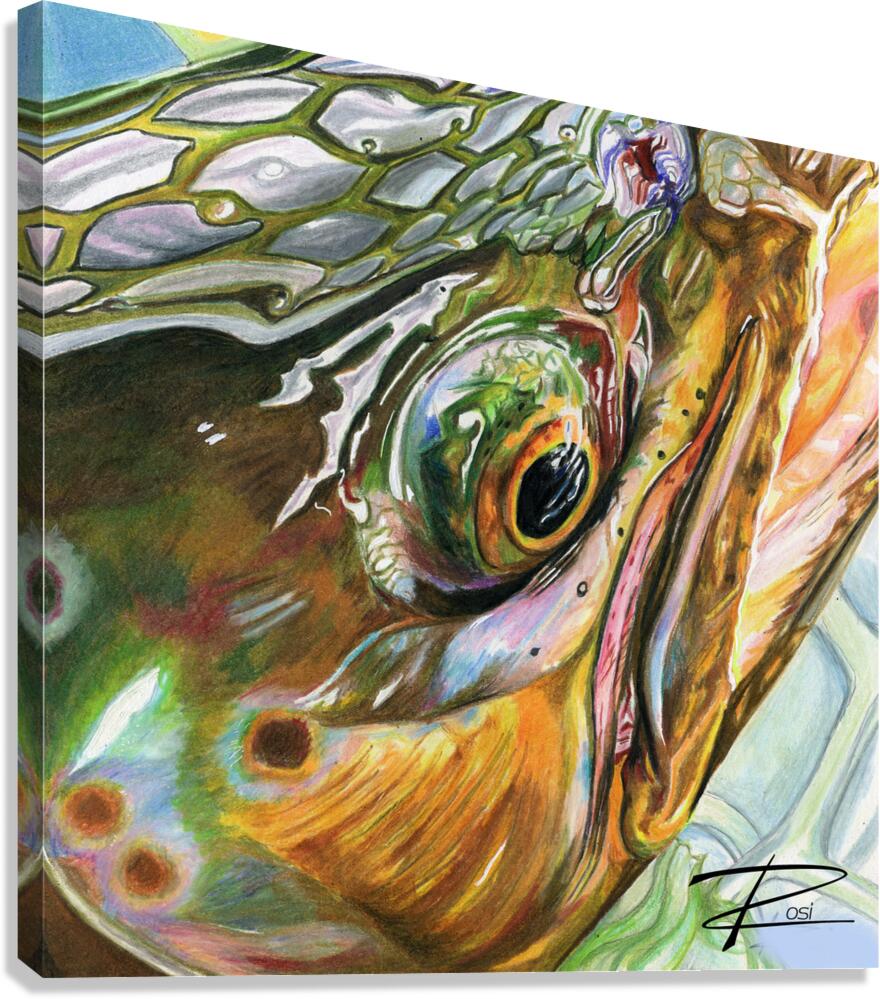 Brown Trout Canvas Print