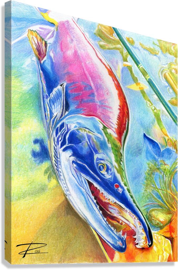 Kokanee Canvas Print