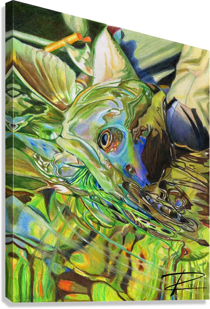 Dolly Varden Canvas Print