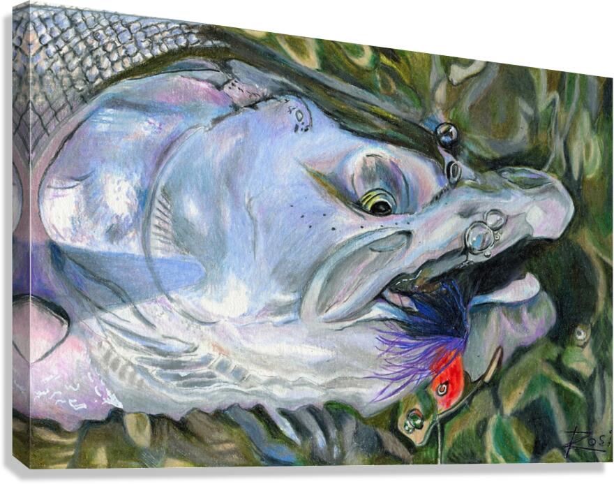 Silver Coho Canvas Print