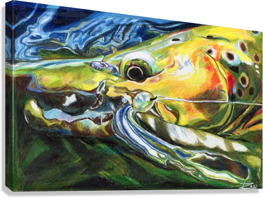 Brown Trout with Capt. Hook Canvas Print