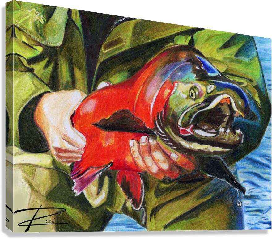 Coho III Canvas Print