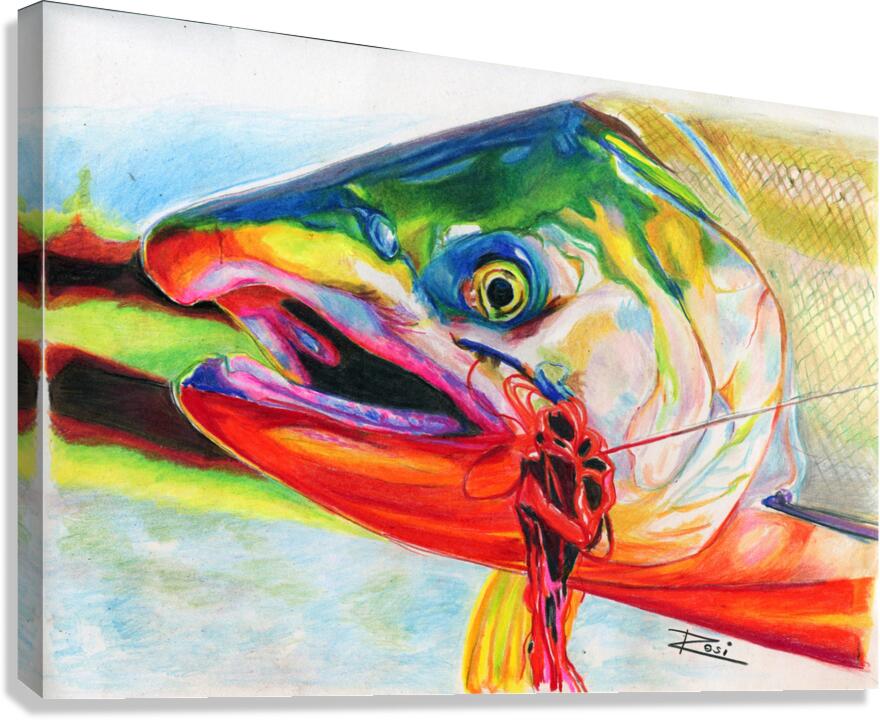Coho Salmon Canvas Print