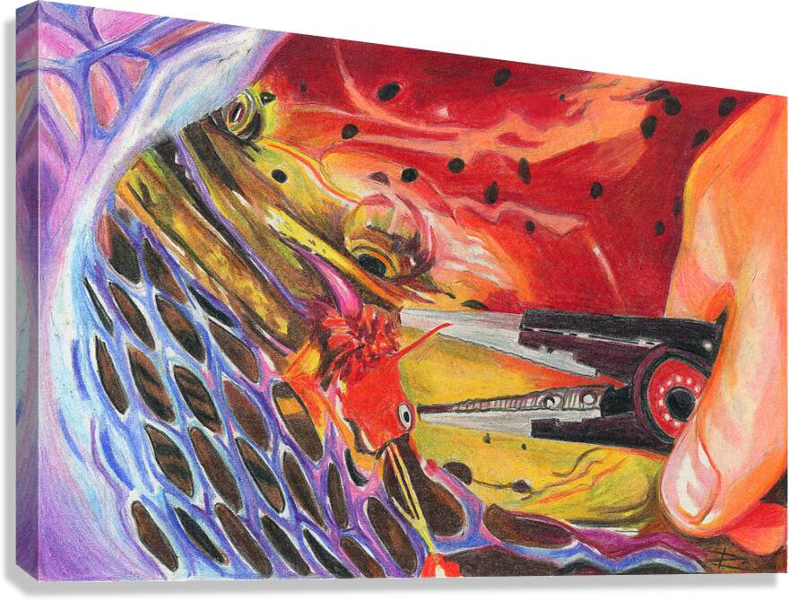 King Salmon in Net Canvas Print