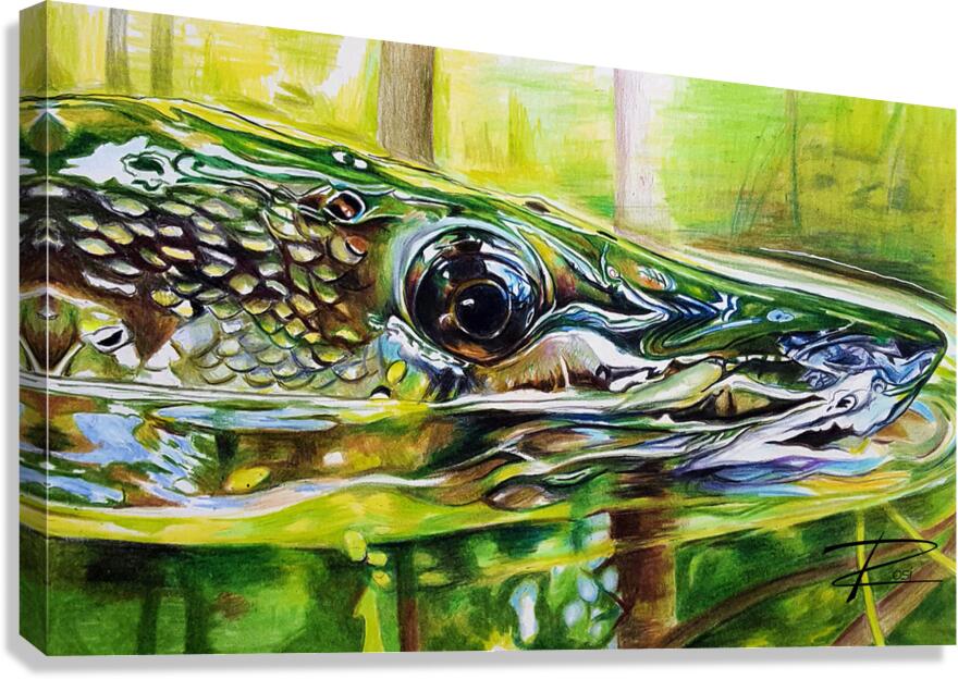 Pike II Canvas Print