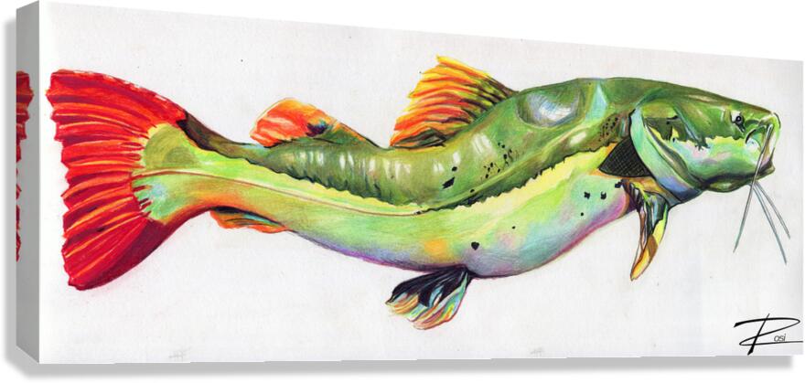 Red Tail Catfish I Canvas Print