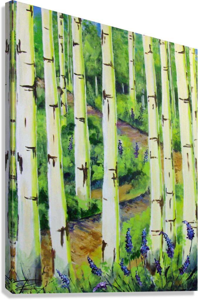 Aspens 1 Canvas Print
