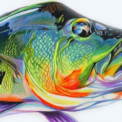 Peacock Bass