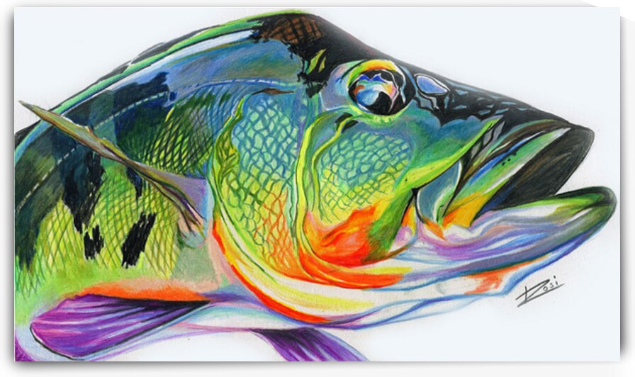 Peacock Bass by Rosi Oldenburg