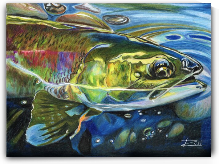 Stranded by Rosi Oldenburg