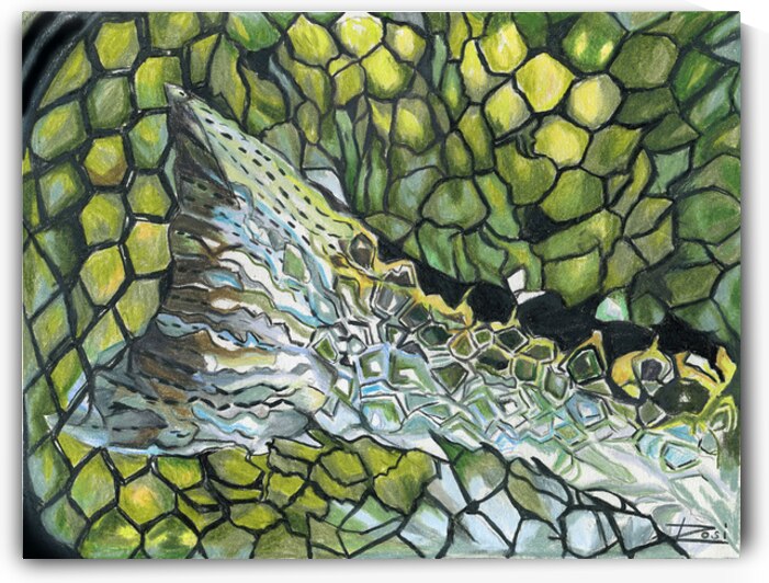 Fish Tail II by Rosi Oldenburg