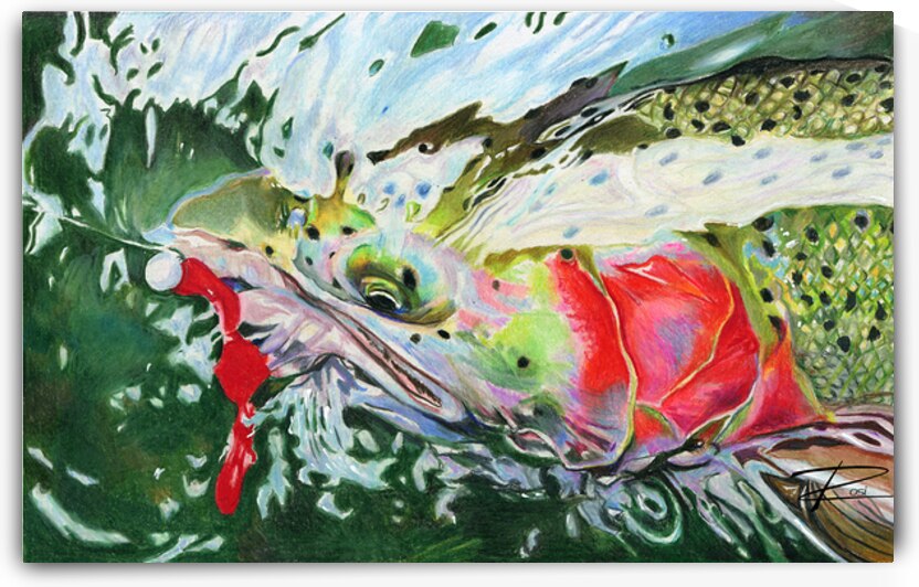 Scarlett O Steelhead by Rosi Oldenburg