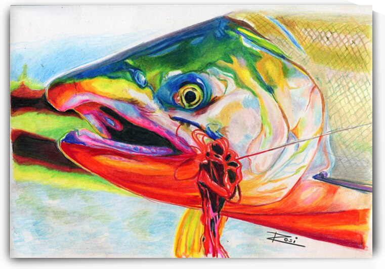 Coho Salmon by Rosi Oldenburg