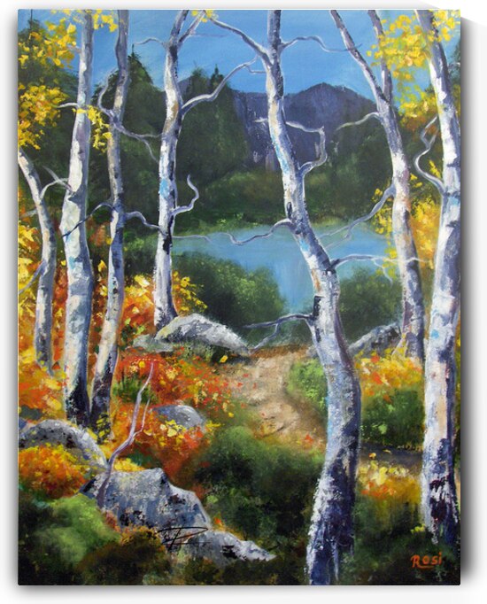 Enchanted Forest by Rosi Oldenburg