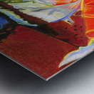 Alaskan Coho Metal print