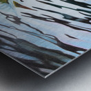 Trout Release Metal print