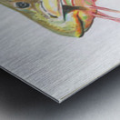 Red Tail Catfish II Metal print