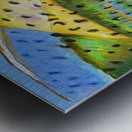 Reel Reflection Metal print