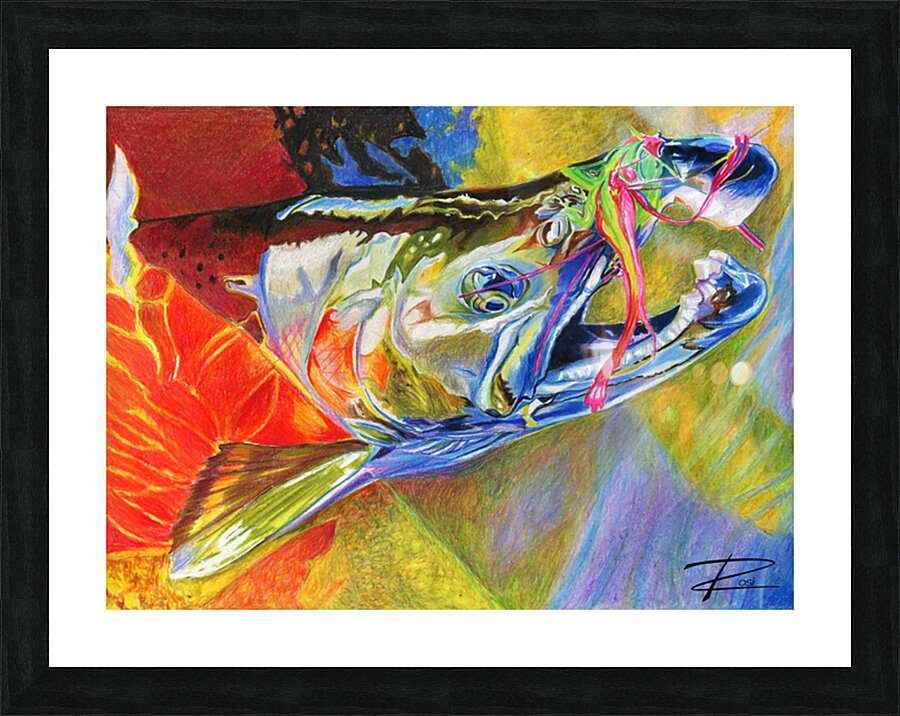 Alaskan Coho Picture Frame print