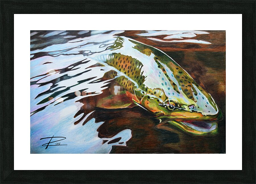 Trout Release Picture Frame print