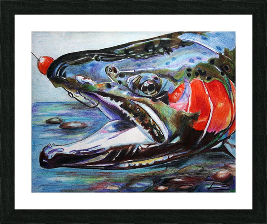 Hooked Steelhead Picture Frame print