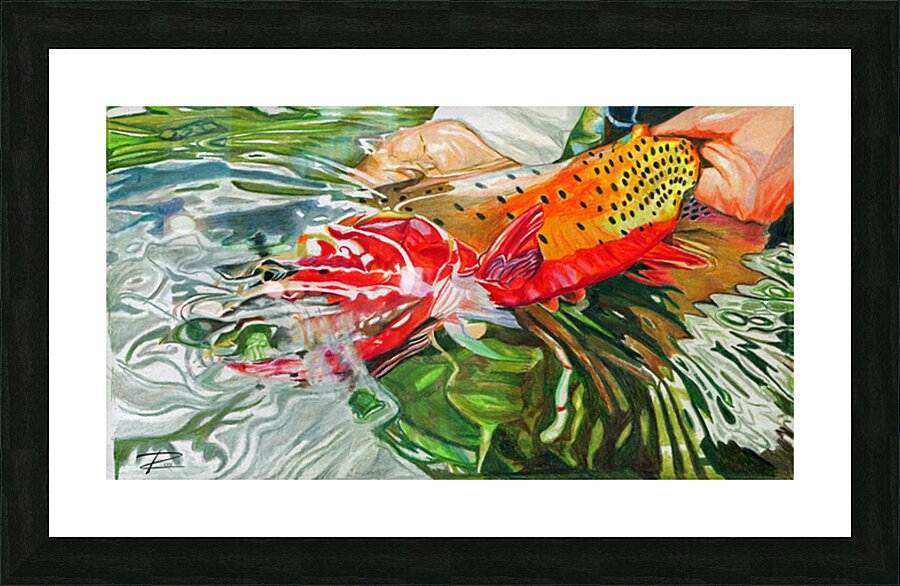 Colorado River Cutthroat Picture Frame print