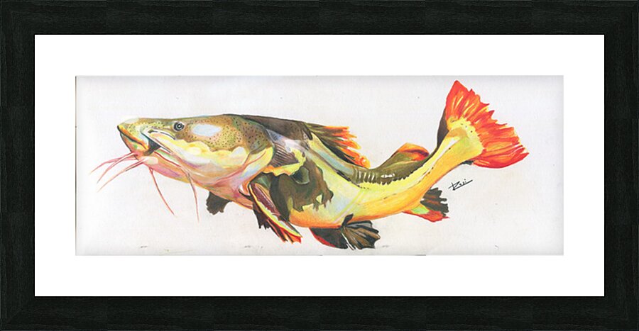 Red Tail Catfish II Picture Frame print