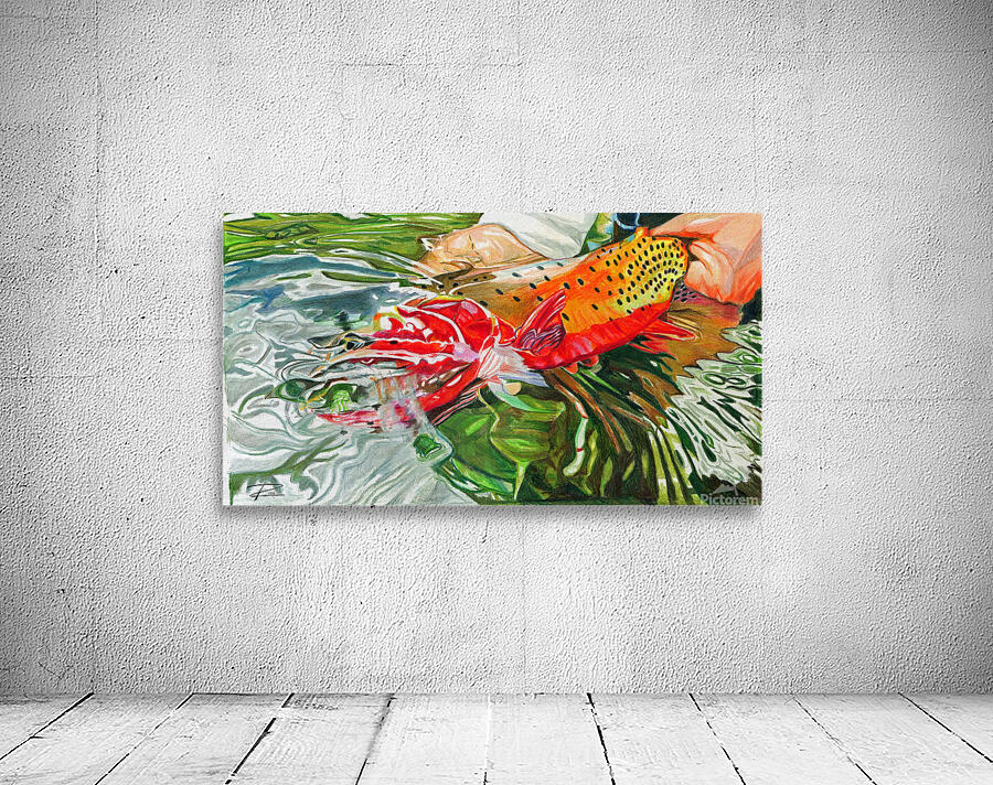 Colorado River Cutthroat Wall Preview